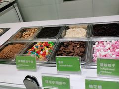 -Salud撒露欧洲冻酸奶(蓝色港湾店)