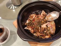 -粤珍轩·家宴·广式茶点(新城广场店)