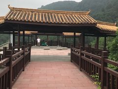 -铁山坪森林公园