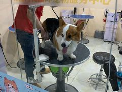 -乐宠宠物店(世纪金源店)