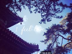 -老三羊汤【北兴隆街店】