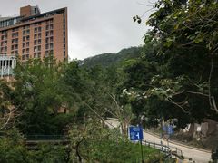 -香港大学