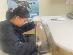 -爱佳宠物中心医院24H·CT·骨外科·猫专科(瑶海万达店)