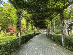 -叶家花园