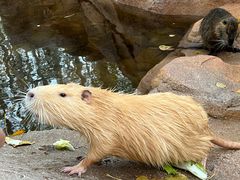 -北京野生动物园