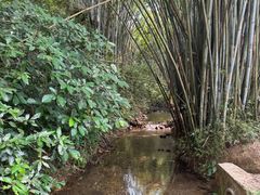 -田心森林公园