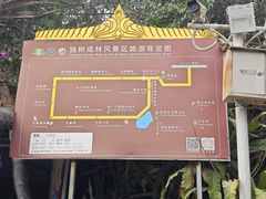 -瑞丽独树成林风景区