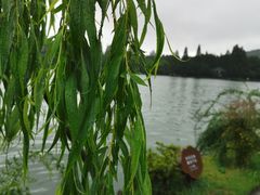 -浙江西子宾馆·瑶园咖啡厅