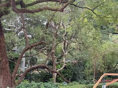 -香港大学