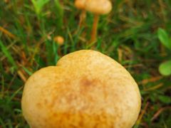 -盘龙城国家考古遗址公园