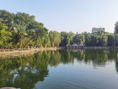 -莲湖公园
