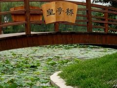 -白洋淀景区