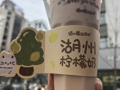 -猫的魔法密林(衣裳街店)