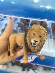 -KIDSLAND(北京蓝色港湾店)