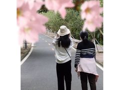 -广东茂名森林公园