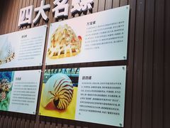 -贝壳王国博物馆