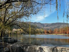 -国家植物园南园