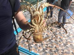 -拉威海鲜市场