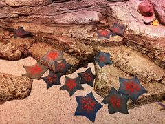 -沈阳海洋探索中心