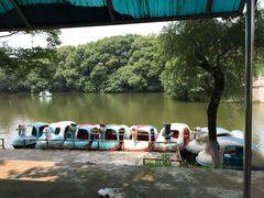 -太子山公园(园东路)