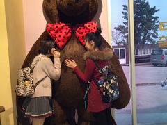 -济州岛泰迪熊博物馆