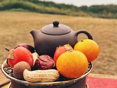 -渭河城市绿地运动公园