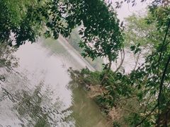 -海珠湖公园