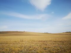 -塞罕坝国家级自然保护区