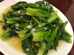 蒜茸油麦菜-范记靖远羊羔肉(博物馆店)