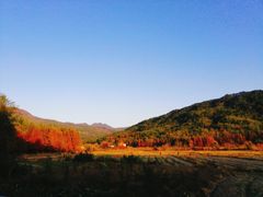 -塔川景区