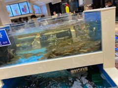 水产区-双井轩(双井店)