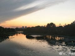 -新江湾城公园
