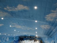 -世界之窗阿尔卑斯冰雪世界