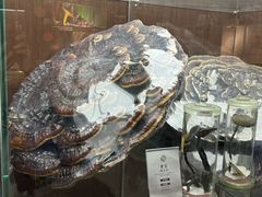 -广州神农草堂中医药博物馆