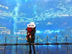 -成都浩海立方海洋公园