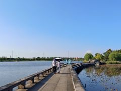 -杭州湾海上花田景区