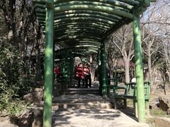 -无锡梅园公园