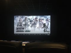 -璇宫国际影城(江汉路店)