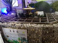 -江门古兜温泉小镇
