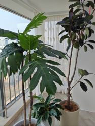 -HEYAN荷妍专业脱毛连锁机构