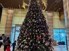 -珠海中海雅高铂尔曼酒店