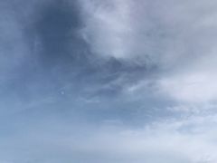 -红花尔基樟子松国家森林公园