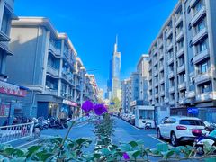 -紫峰大厦