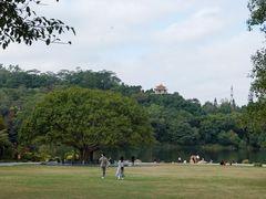 -深圳仙湖植物园