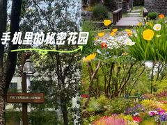 -共青国家森林公园-售票处