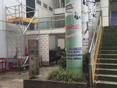 -九龙公园