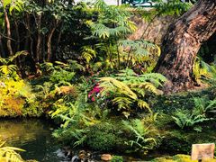 -Chom Cafe and Restaurant