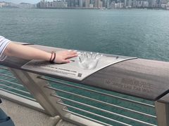 -星光大道