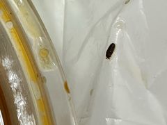 -山西刀削面(安定门店)