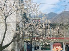 -沣峪口